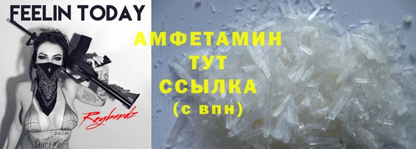 молекула духа Майский