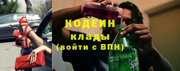 молекула духа Майский