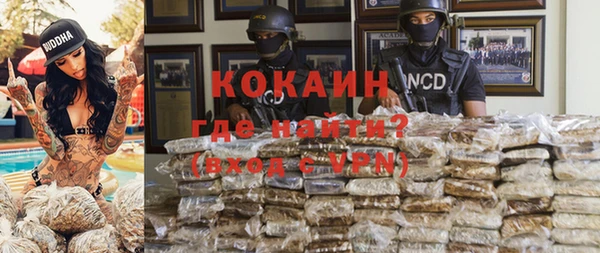 твердый Мегион
