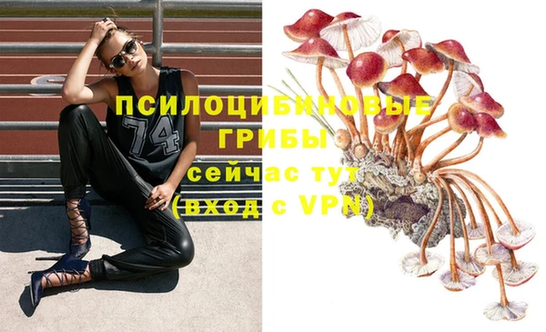 молекула духа Майский