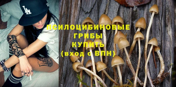 mdma Медвежьегорск