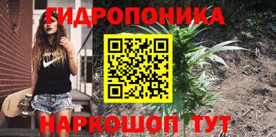 мяу мяу мука Волжск