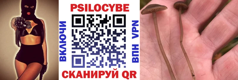 Галлюциногенные грибы GOLDEN TEACHER  Калининград 