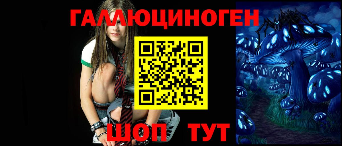 Галлюциногенные грибы Magic Shrooms Калининград